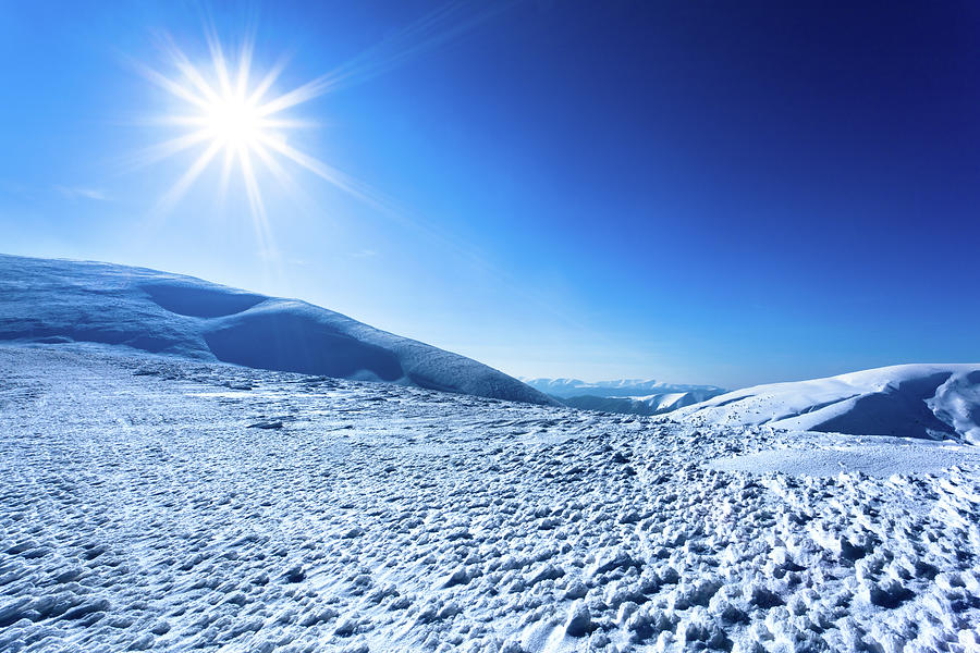 Polar Sunshine Photograph by Yourapechkin Polar Sunshine Photograph by Yourapechkin