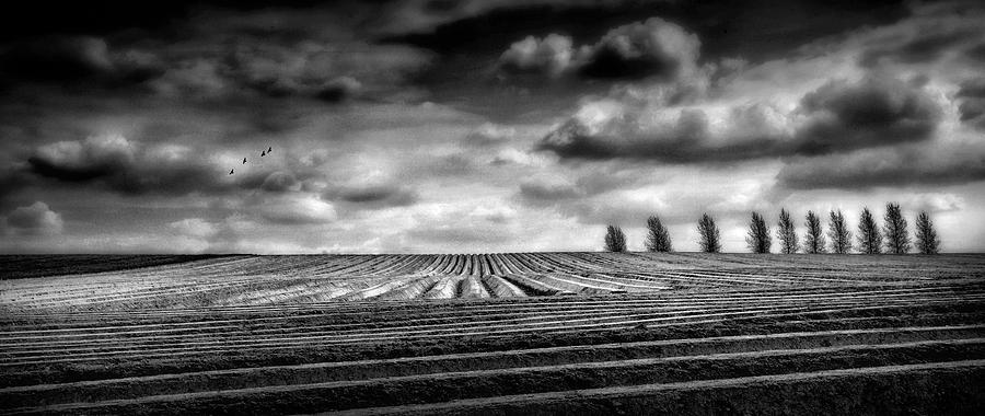 Polder Landscape Photograph by Marc Apers