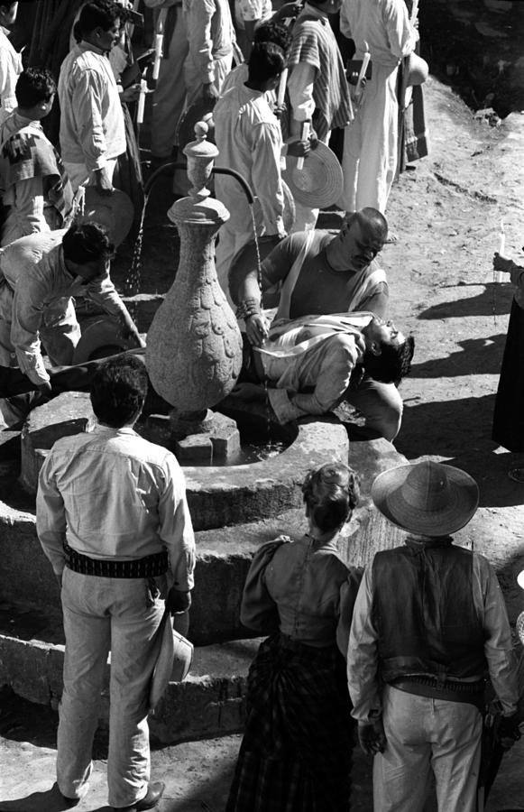 Poldo Bendandi Trying To Save Halfdead Photograph by Don Ornitz Pixels