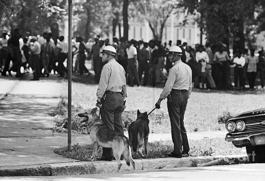 Police And Dogs Near Demonstrators Photograph by Bettmann