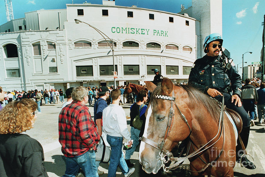 Police Officer Directing Fans Atop Horse Photograph by Bettmann Police Officer Directing Fans Atop Horse Photograph by Bettmann