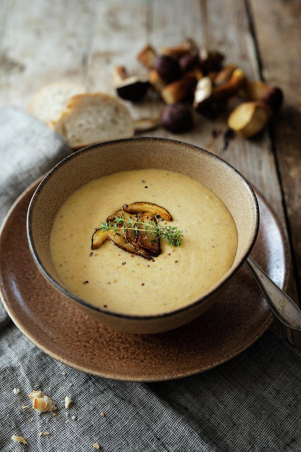 Polish Creamy Potato Soup With Mushrooms chestnut Boletus Photograph by Jan Wischnewski