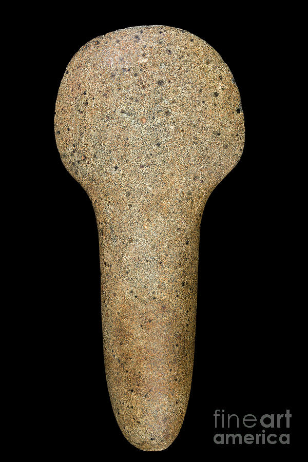 Polished Stone Axe With Spatula Photograph by Pascal Goetgheluck/science Photo Library