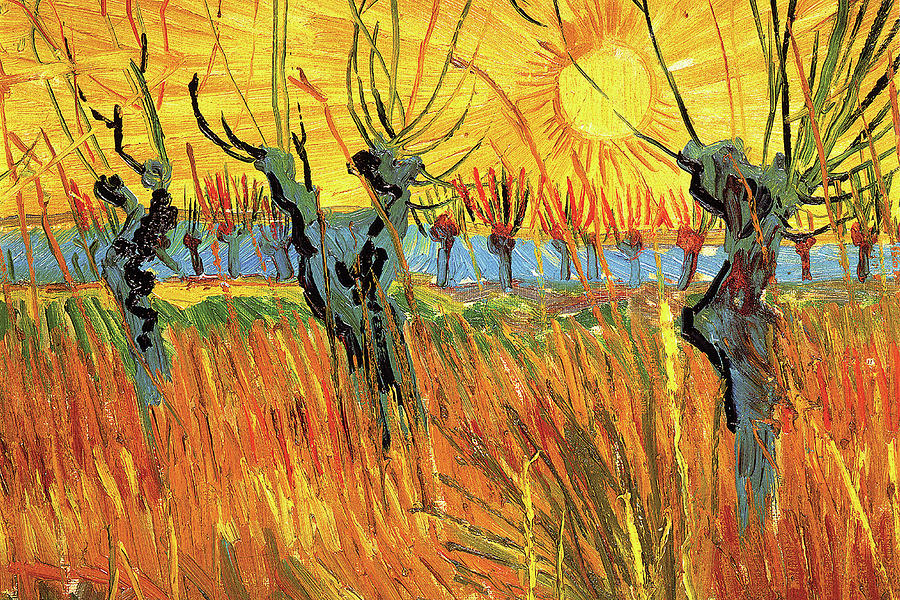 Pollard Willows at Sunset Painting by Vincent van Gogh