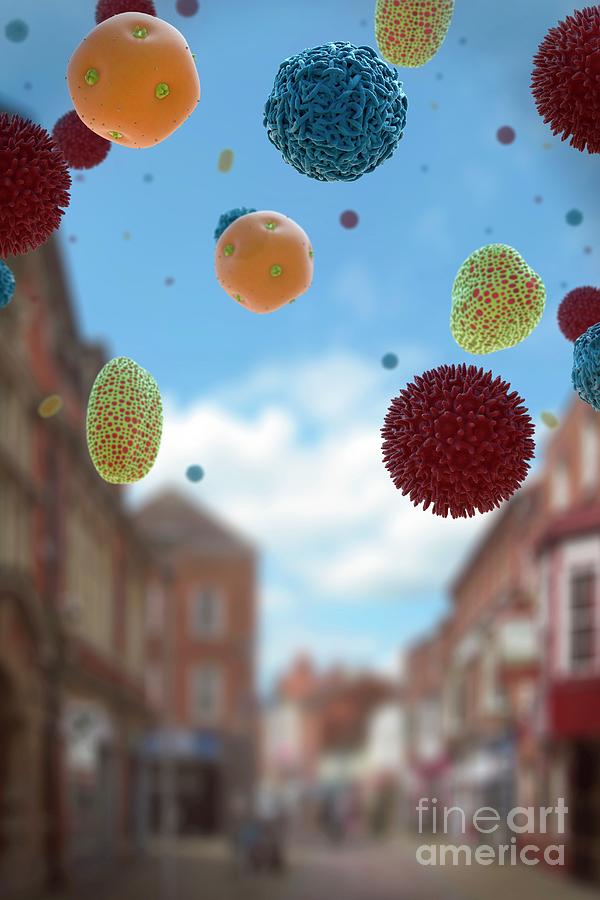 Pollen Grains In City Air Photograph by Tim Vernon / Science Photo ...