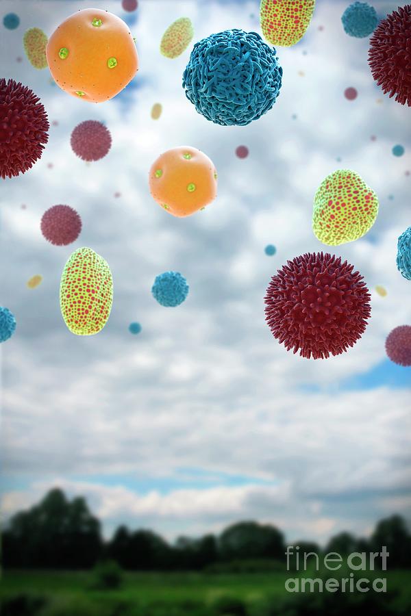 Pollen Grains In Country Air Photograph by Tim Vernon / Science Photo ...