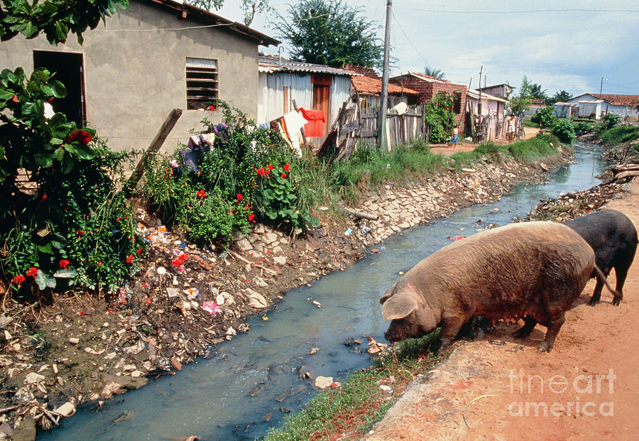 Polluted Drainage Channel In A Favela In Brazil Photograph by Andy Crump, Tdr, Who/science Photo Library