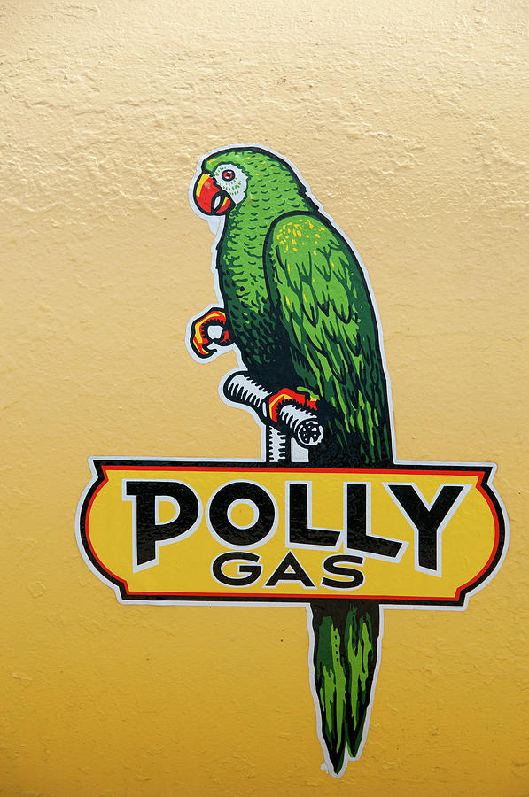 Polly Gas Photograph by Steve Stuller