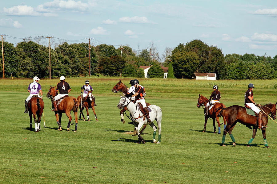 Polo Match Photograph by Sally Weigand