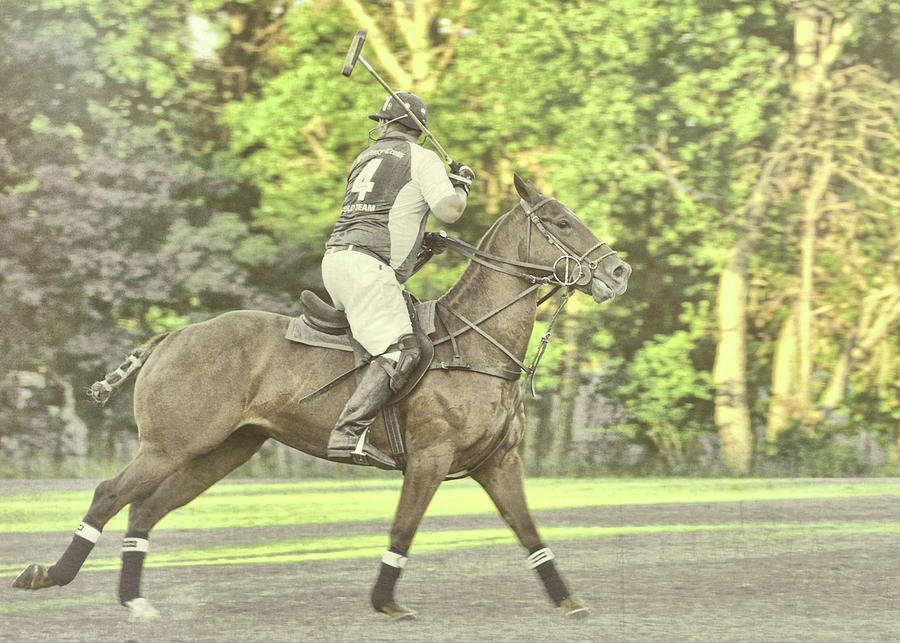 Polo Play Photograph by Dressage Design