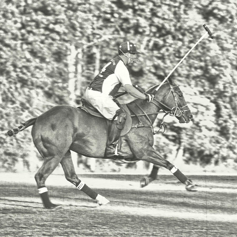 Polo Ponies Play Photograph by Dressage Design