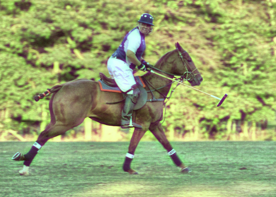 Polo Pony Gallop Photograph by JAMART Photography