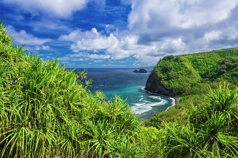 Jungle Photograph - Pololu Valley And Beach Through Hala by Russ Bishop