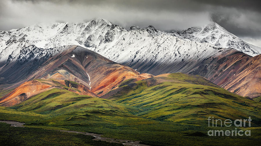 Polychrome mountain, Denali NP, Alaska Photograph by Lyl Dil Creations