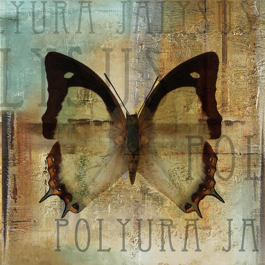 Butterfly Digital Art - Polyurabutterfly I by Patricia Pinto