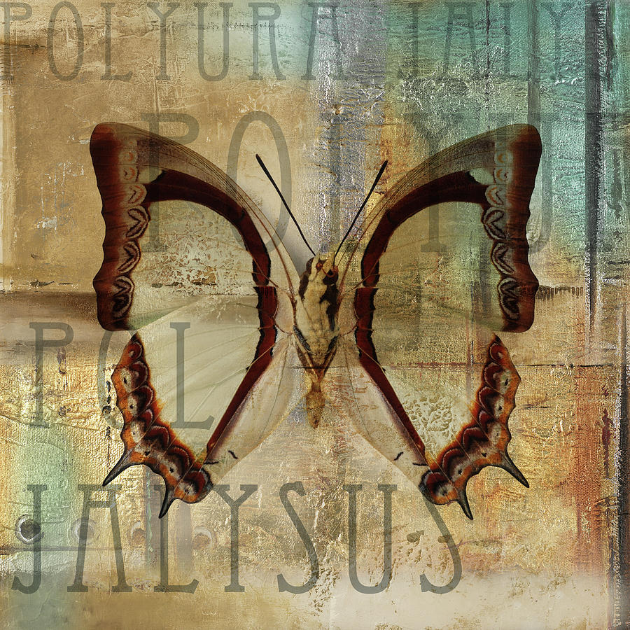 Butterfly Digital Art - Polyurabutterfly II by Patricia Pinto