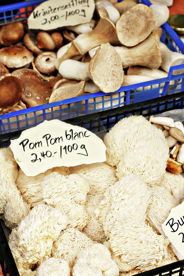 Pom Pom Blanc Mushrooms And King Trumpet Mushrooms At A Market Photograph by Alexandra Panella
