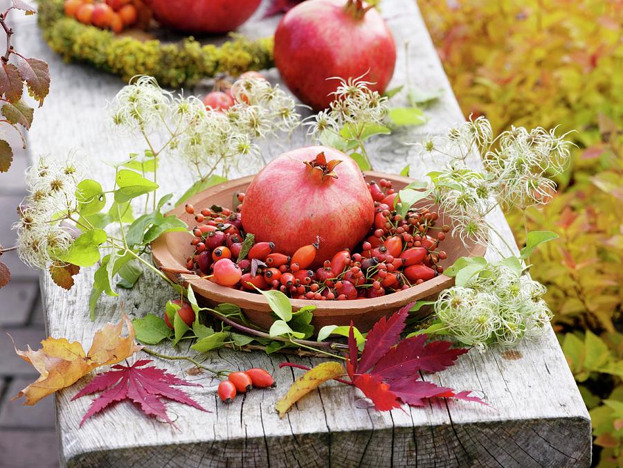 Pomegranate In Rose Hip Wreath, Clematis Seed Heads, Autumn Leaves Photograph by Friedrich Strauss