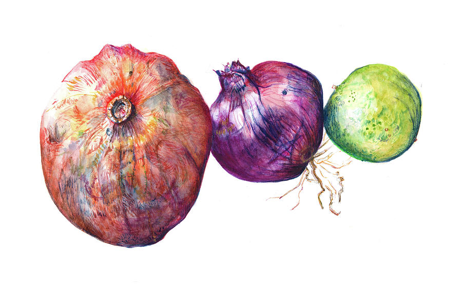 Pomegranite, Red Onion and Lime Painting by Gloria Newlan