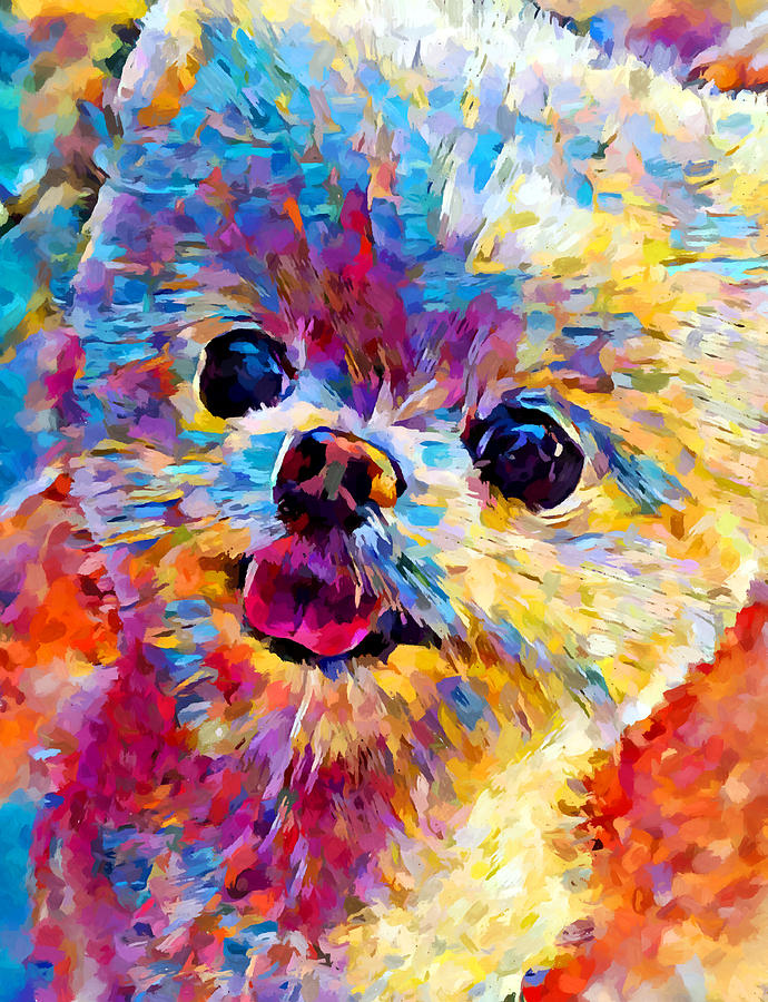 Pomeranian 3 Painting by Chris Butler