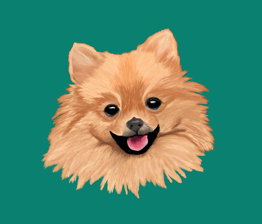 Pomeranian Drawing by ArtistsQuest Pixels