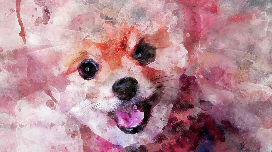 Pomeranian Puppy Drawing - Pomeranian Dog Watercolor Portrait by Asp Arts
