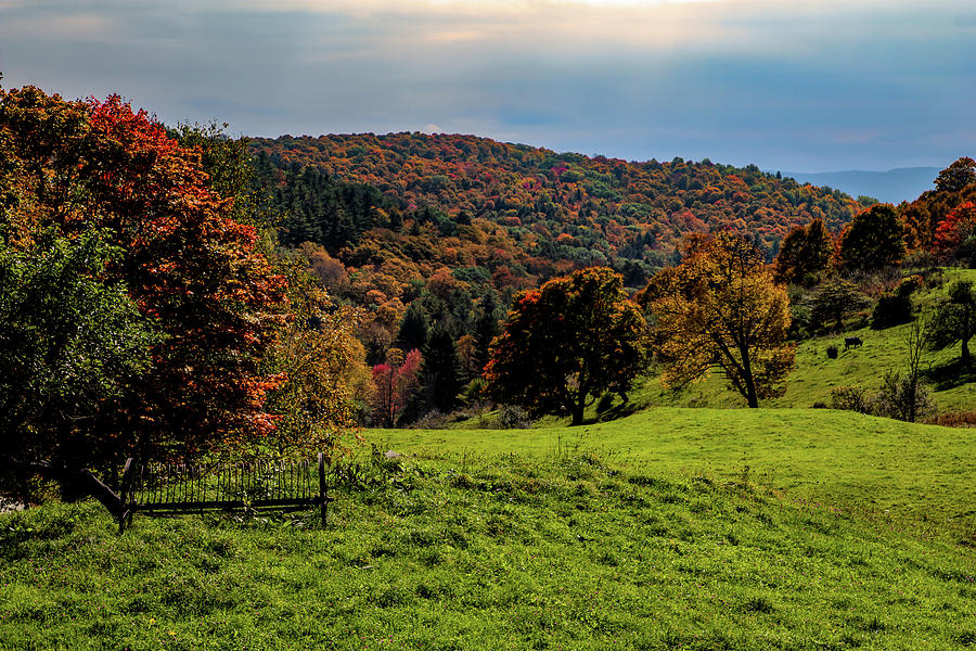 Pomfret Vermont fall colors Photograph by Jeff Folger