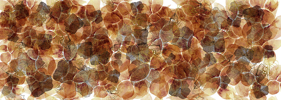 Watercolour Mixed Media - Pomme Brick by Queen Of Gaps Watercolour Mixed Media - Pomme Brick by Queen Of Gaps