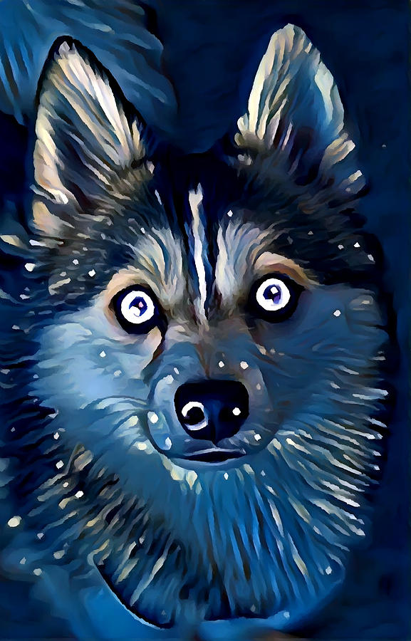 Pomsky Painting by Chris Butler