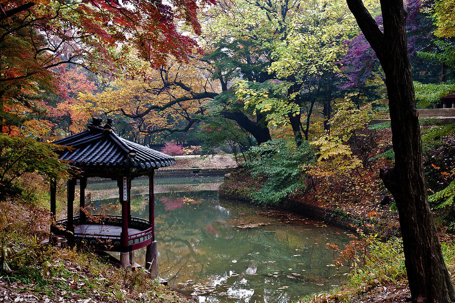 Pond And Autumn Foliage Photograph by Sungjin Kim
