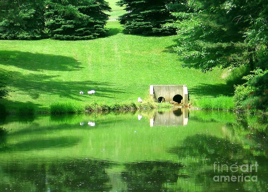 Pond at Saint Josephs Monastery in Saint Marys Pennsylvania Photograph by Rose Santuci-Sofranko