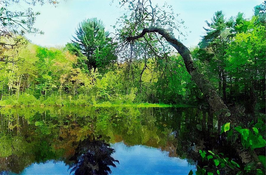 Pond Mixed Media - Pond by Bakke and Schweizer Paintings