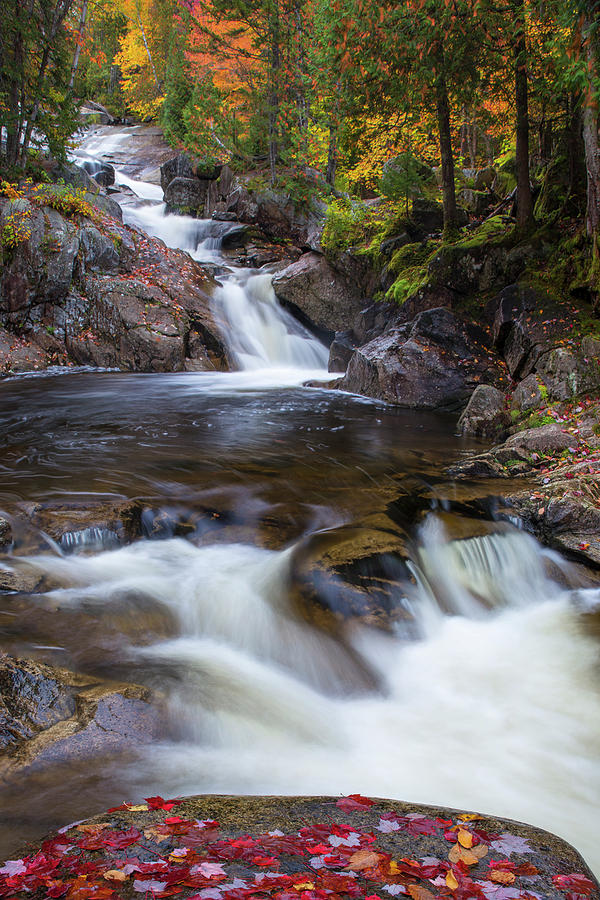 Pond Brook Falls Autumn Photograph by Chris Whiton | Fine Art America