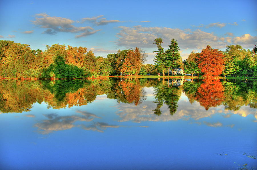 Pond In Fall Photograph by Frank Slack