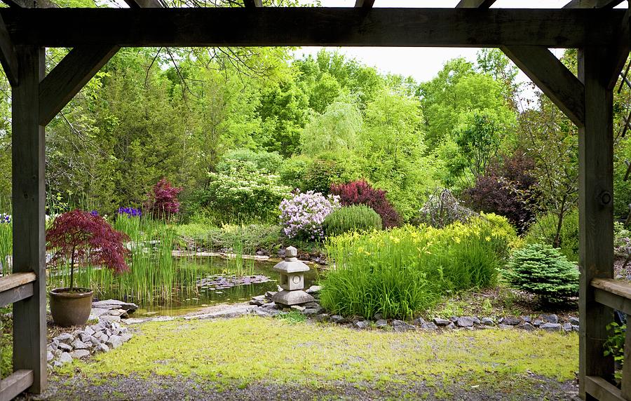 Spring Photograph - Pond In Japanese Spring Garden by Pat Lacroix
