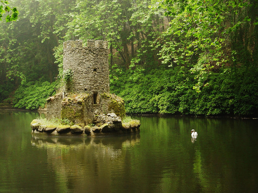 Pond In Sintra, Portugal Photograph by Spooh