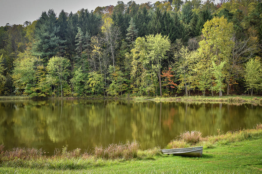 Landscape Photograph - Pond by Michelle Wittensoldner