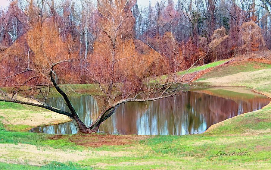 Pond on the Farm by Bonnie Willis Pond on the Farm by Bonnie Willis