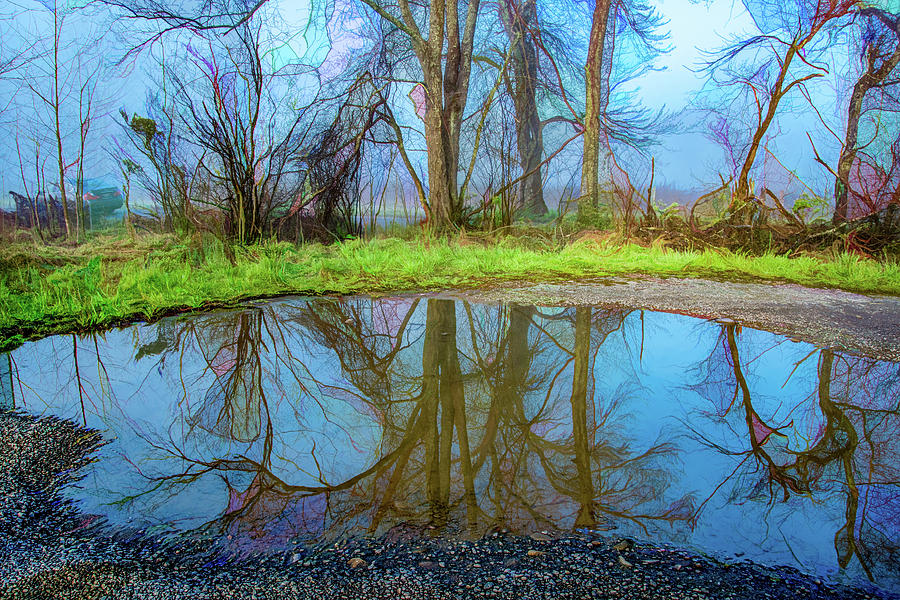 Pond Reflections, Digitally Enhanced Photograph by Marcy Wielfaert