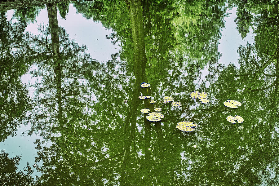 Pond Reflections - Romania Photograph by Stuart Litoff
