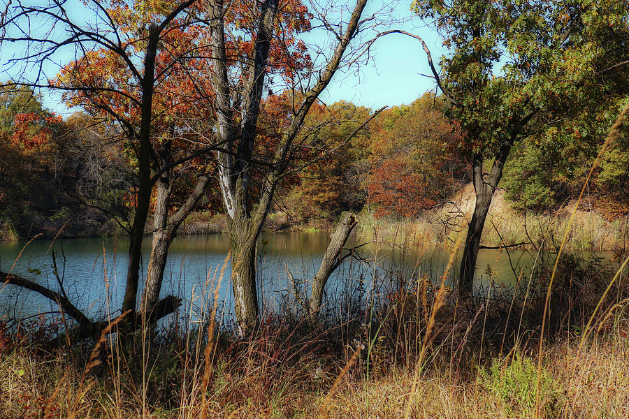 Pond Shrouded In Autumn Photograph