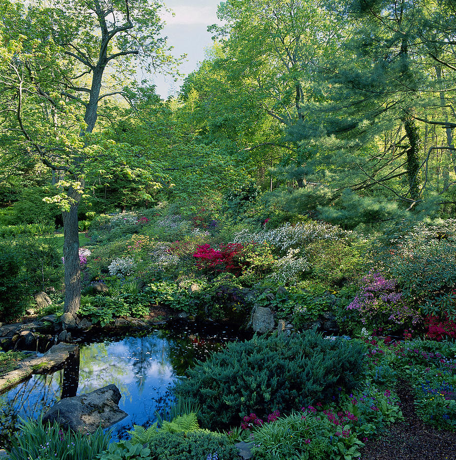 Pond With Mixed Border by Richard Felber