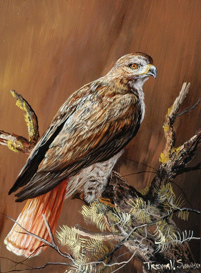 Ponderosa Hunter Painting by Trevor V. Swanson - Fine Art America