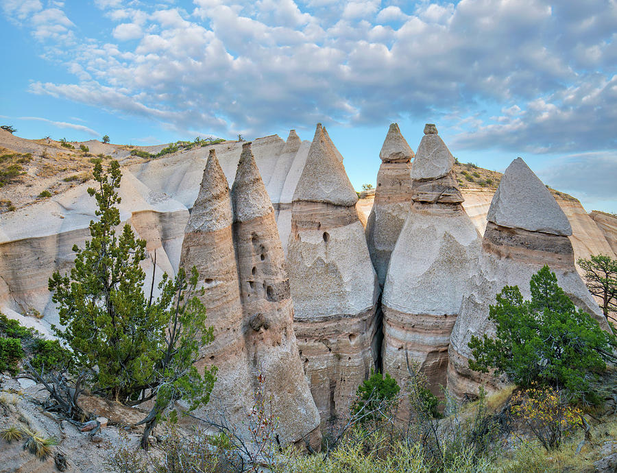 Ponderosa Pine And Tent Rocks, Kasha-katuwe Tent Rocks Nm, New Mexico Photograph by Tim Fitzharris