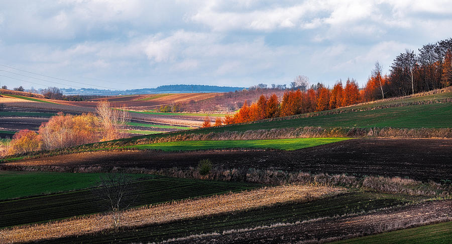 Ponidzie Autumn Photograph by Slawomir Kowalczyk