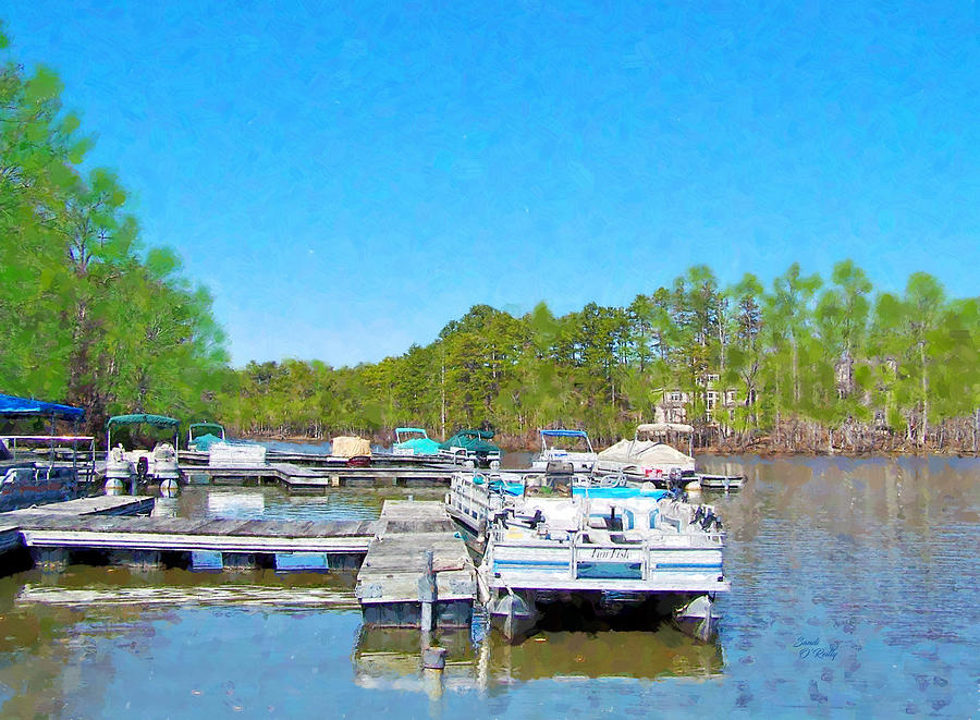 Pontoon Boats On The Lake Photograph by Sandi OReilly