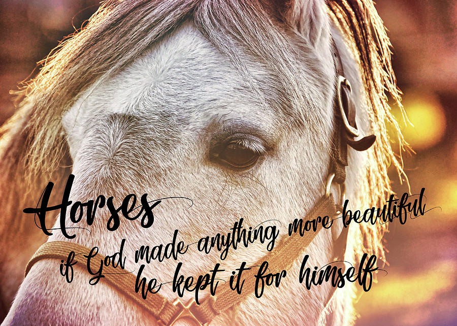 PONY AT SUNSET quote Photograph by JAMART Photography