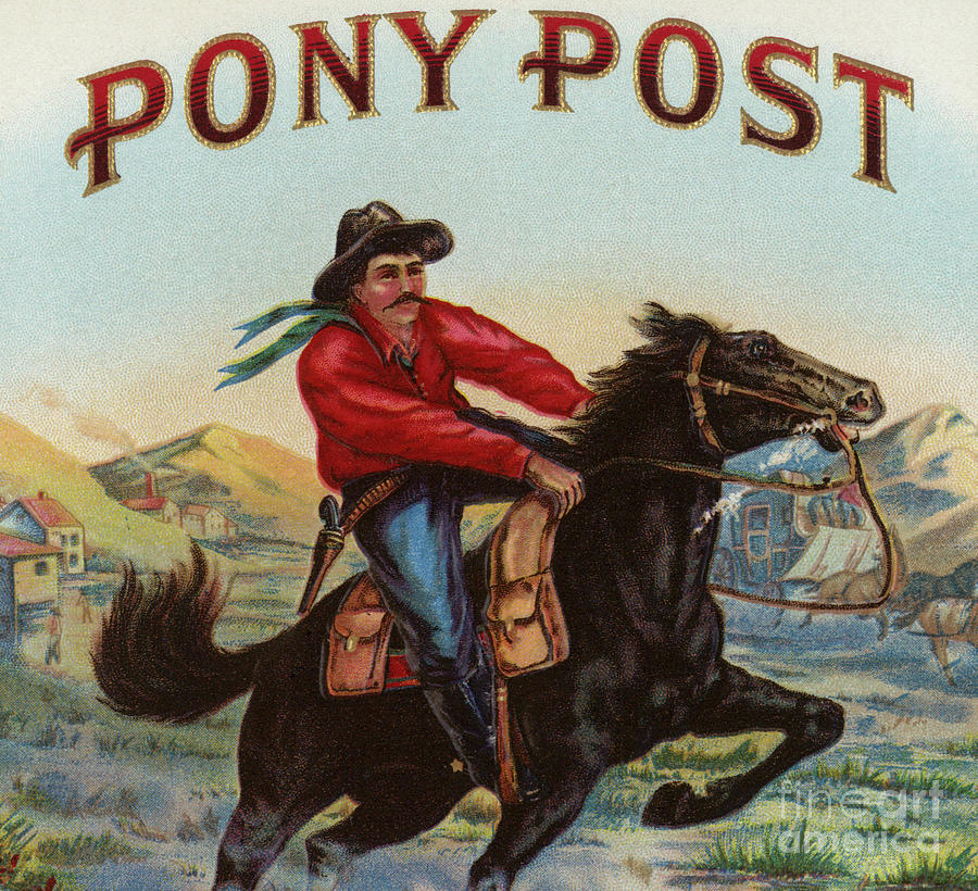 Pony Post Cigar Label Painting by American School