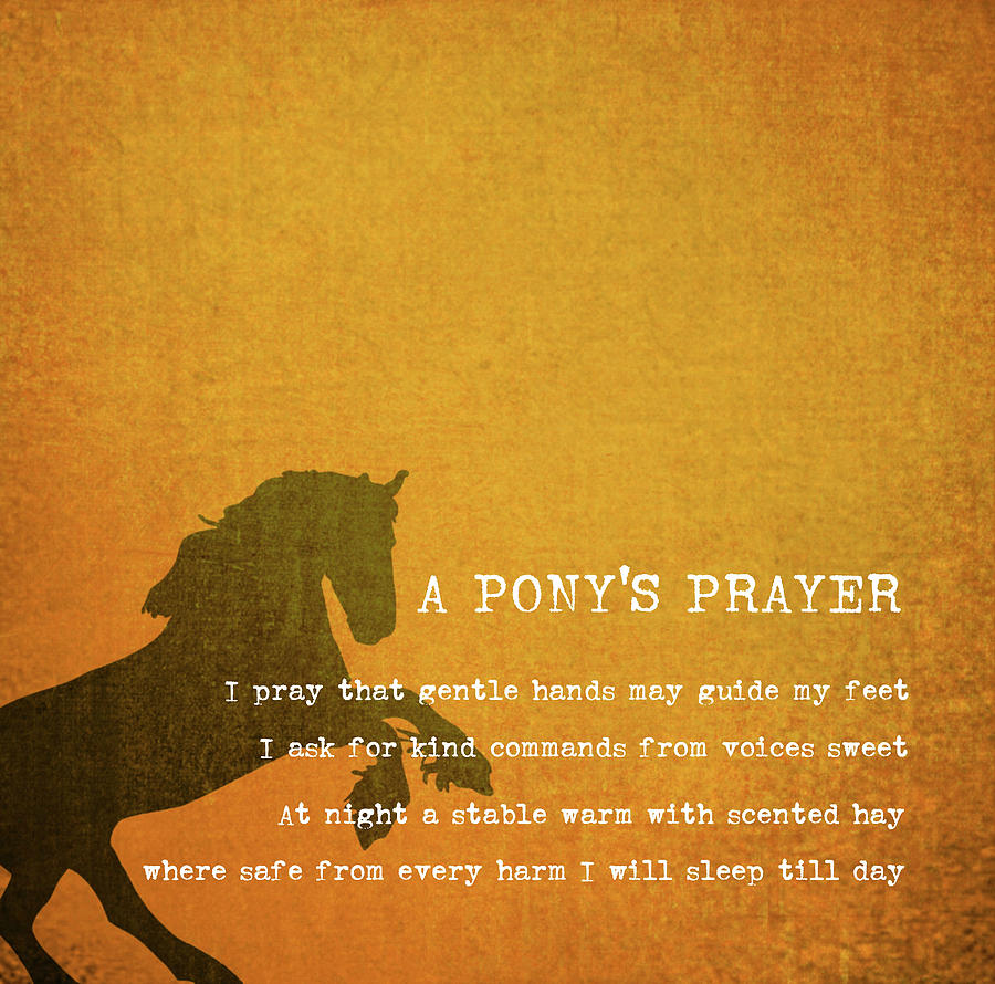 Pony Prayer Photograph by Jamart Photography