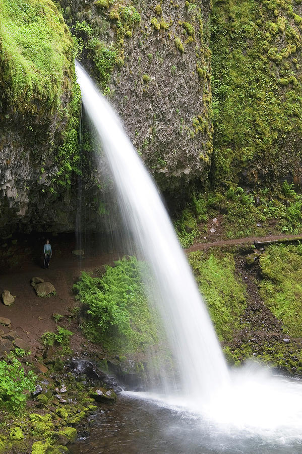Pony Tail Falls Photograph by Steven David Roberts Pony Tail Falls Photograph by Steven David Roberts
